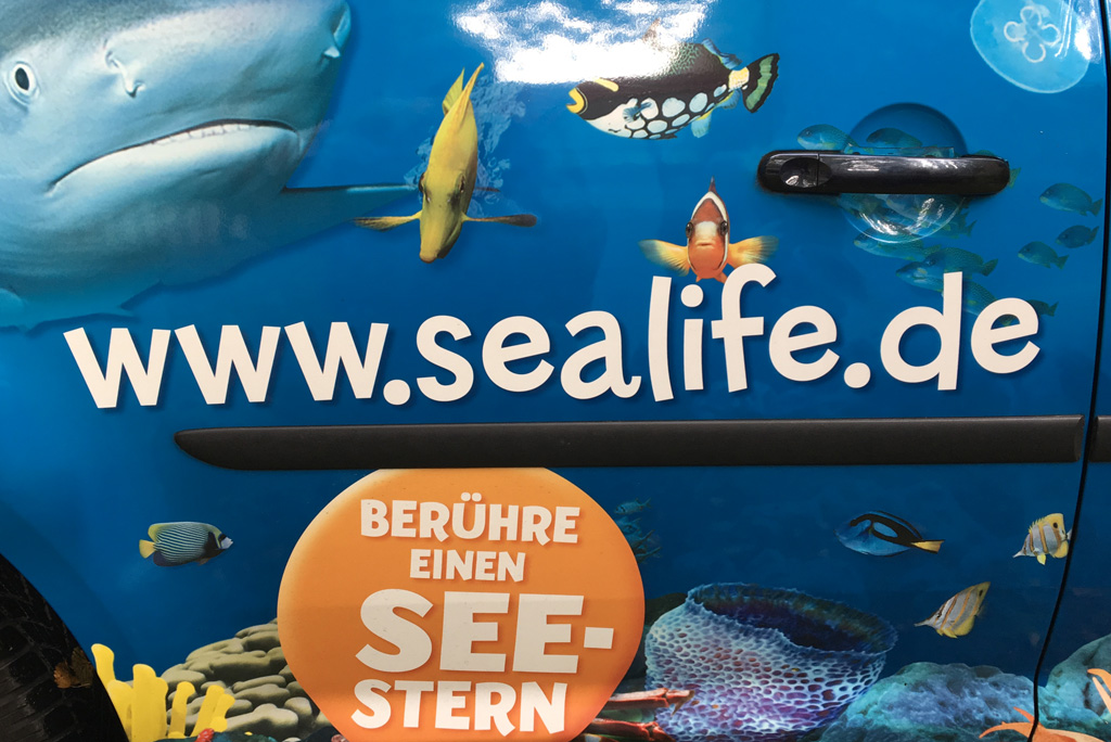 Sealife Besuch